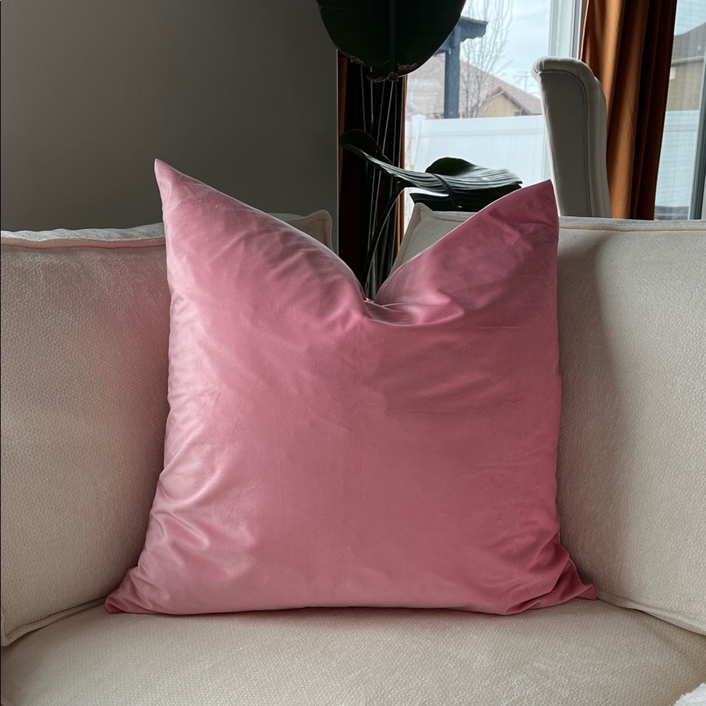 Set of 2 velvet euro pillow covers